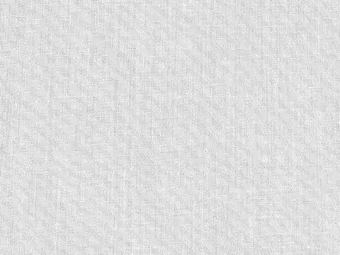 Alendel Clement sheer fabric swatch in Aluminum (0401)