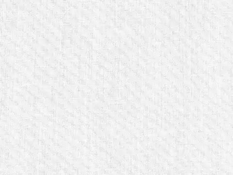 Alendel Clement sheer fabric swatch in Candle White (1014)