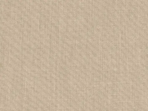 Alendel Clement sheer fabric swatch in Sand (2023)