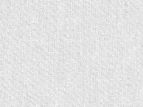 Alendel Clement sheer fabric swatch in Silver (4067)