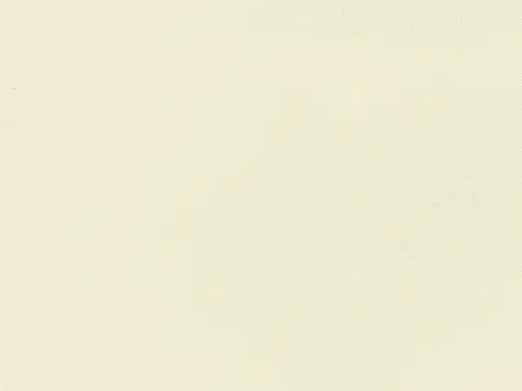 Alendel Cleo sheer fabric swatch in Cream (0252)