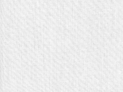 Alendel Cleo sheer fabric swatch in White (100)