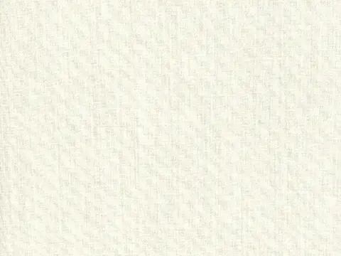 Alendel Cleo sheer fabric swatch in Snow (143)