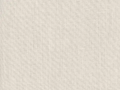 Alendel Cleo sheer fabric swatch in Oyster (4044)
