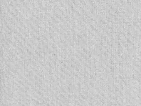 Alendel Cleo sheer fabric swatch in Silver (4067)