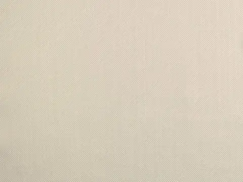 Alendel Coco drapery fabric swatch in Winter White (101)