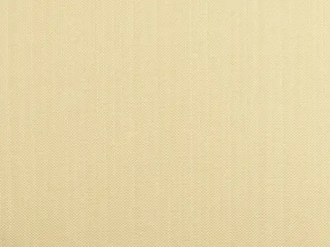 Alendel Coco drapery fabric swatch in Ivory (103)