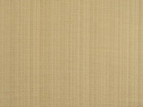 Alendel Coco drapery fabric swatch in Sand (2023)