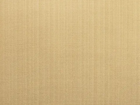 Alendel Coco drapery fabric swatch in Empire Beige (2112)