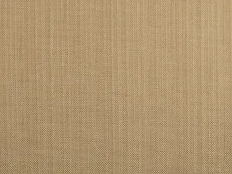 Alendel Coco drapery fabric swatch in Harvest Beige (2113)