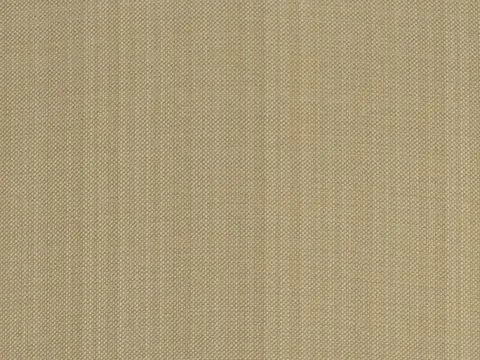 Alendel Coco drapery fabric swatch in Birch (217)
