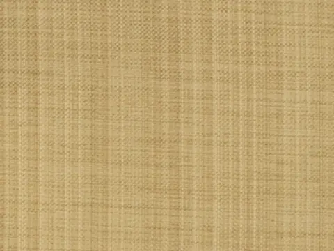 Alendel Coco drapery fabric swatch in Butterscotch (320)