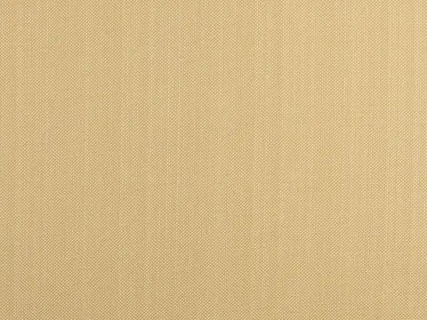 Alendel Coco drapery fabric swatch in Natural (378)