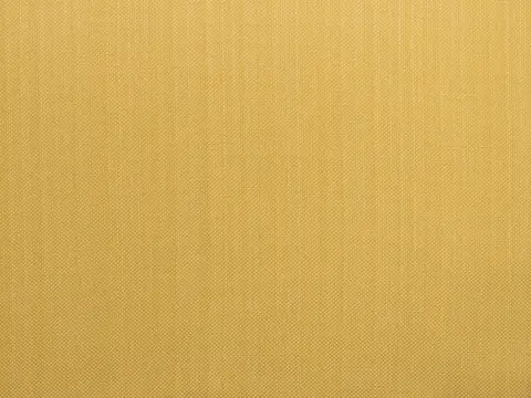 Alendel Coco drapery fabric swatch in Golden Buff (5017)