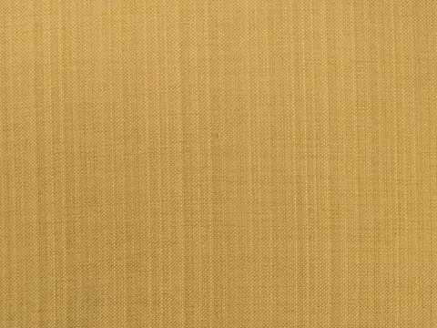 Alendel Coco drapery fabric swatch in Mustard Seed (5031)
