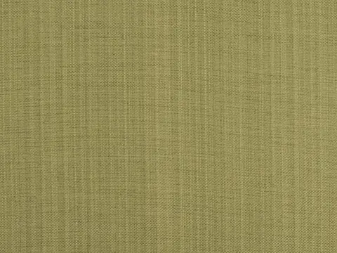 Alendel Coco drapery fabric swatch in Green Bay (9019)