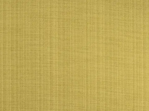 Alendel Coco drapery fabric swatch in Chive (914)
