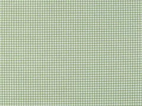 Alendel Cold drapery fabric swatch in Avocado (0907)