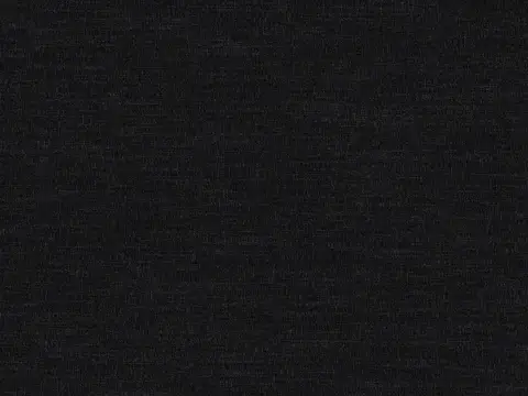 Alendel Comet drapery fabric swatch in Noir (0475)