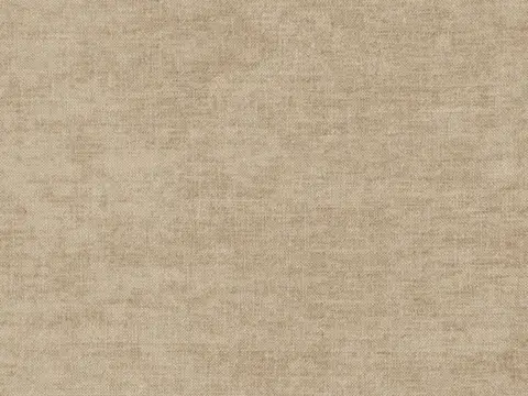 Alendel Cozy drapery fabric swatch in Sandal (2024)