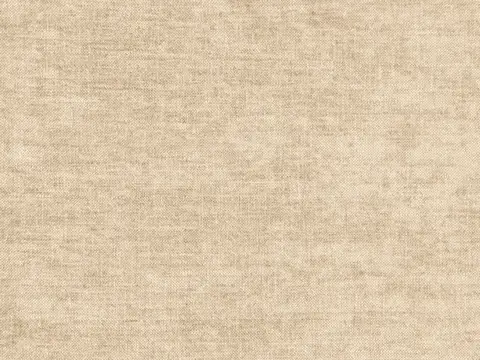 Alendel Cozy drapery fabric swatch in Flax (354)