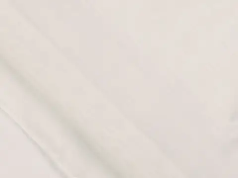 Alendel Dallas 118" sheer fabric swatch in Winter White (101)