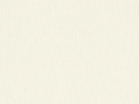 Alendel Dallas 130" sheer fabric swatch in Winter White (0101)