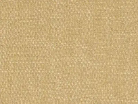 Alendel Echo drapery fabric swatch in Wheat (2061)