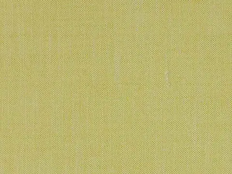 Alendel Echo drapery fabric swatch in Willow (999)