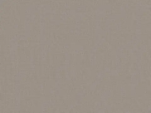 Alendel Empire Voile 118 sheer fabric swatch in Chrome (0421)