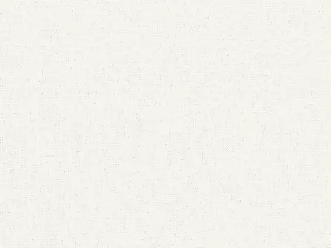 Alendel Empire Voile 118 sheer fabric swatch in Winter White (101)