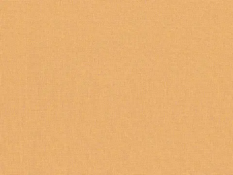Alendel Empire Voile 118 sheer fabric swatch in Sand (2023)