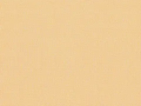 Alendel Empire Voile 118 sheer fabric swatch in Almond (206)