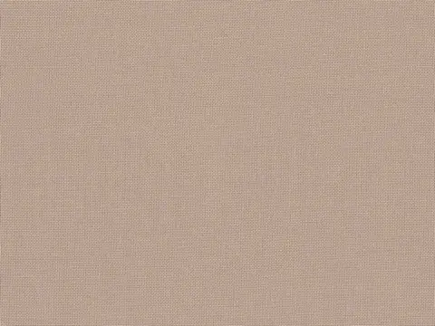Alendel Empire Voile 118 sheer fabric swatch in Nude Cream (2131)