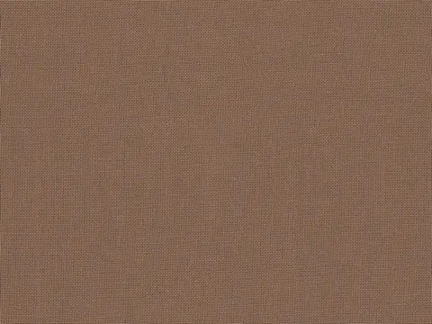 Alendel Empire Voile 118 sheer fabric swatch in Tobacco (3007)