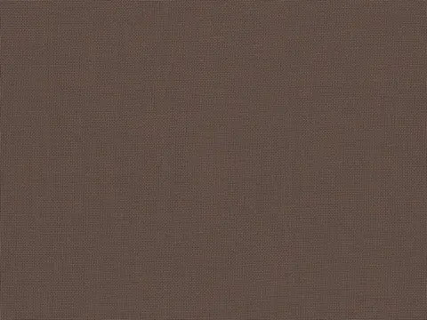 Alendel Empire Voile 118 sheer fabric swatch in Bittersweet Coco (3040)