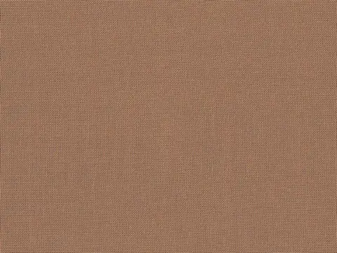 Alendel Empire Voile 118 sheer fabric swatch in Brown Sugar (3042)