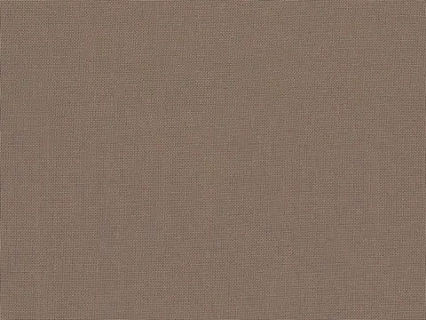 Alendel Empire Voile 118 sheer fabric swatch in Reindeer Fur (3086)