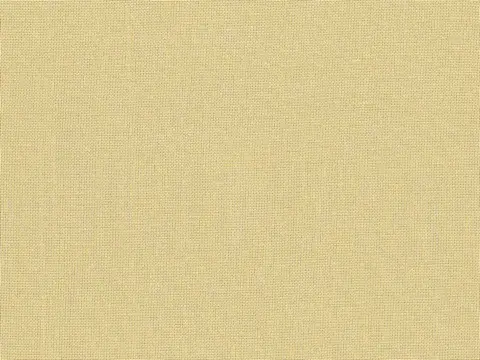 Alendel Empire Voile 118 sheer fabric swatch in Caraway (327)