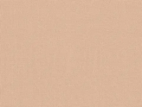 Alendel Empire Voile 118 sheer fabric swatch in Coffee (339)