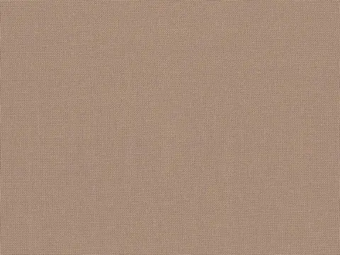 Alendel Empire Voile 118 sheer fabric swatch in Mocha (373)