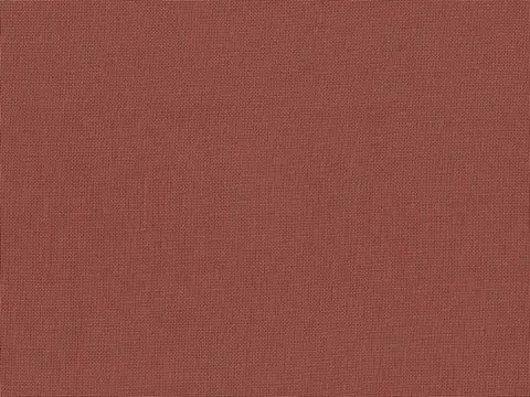 Alendel Empire Voile 118 sheer fabric swatch in Sequoia (397)