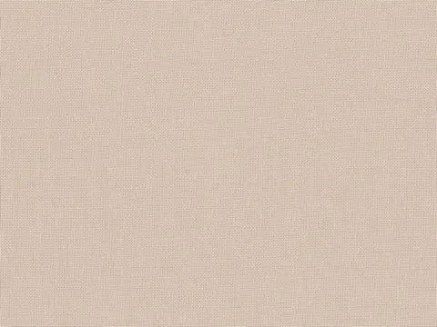 Alendel Empire Voile 118 sheer fabric swatch in Steam (4080)