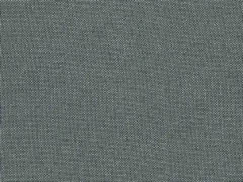 Alendel Empire Voile 118 sheer fabric swatch in Vault (4095)
