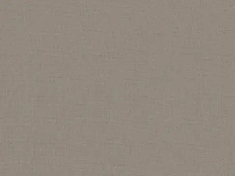 Alendel Empire Voile 118 sheer fabric swatch in Castor Grey (4135)