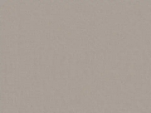 Alendel Empire Voile 118 sheer fabric swatch in Skylark Song (4193)