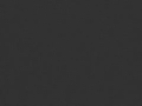 Alendel Empire Voile 118 sheer fabric swatch in Black (451)