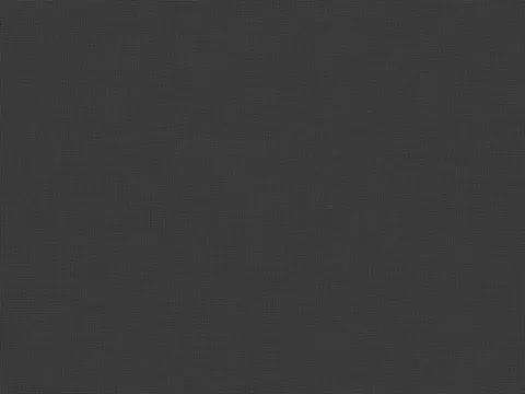 Alendel Empire Voile 118 sheer fabric swatch in Foggy Memories (4521)