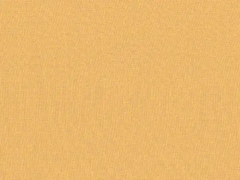 Alendel Empire Voile 118 sheer fabric swatch in Gold (517)