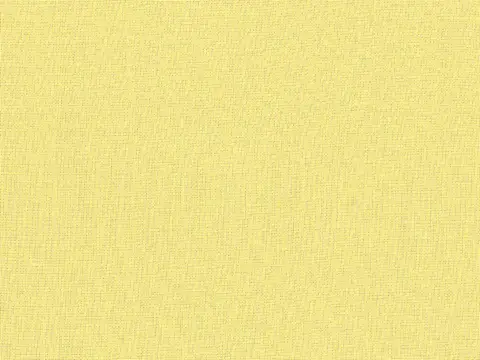 Alendel Empire Voile 118 sheer fabric swatch in Sunshine (546)